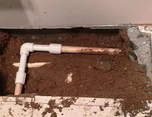 梁园测漏水哪家好